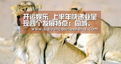 开运竞猜