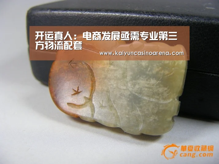 开运真人:电商发展亟需专业第三方物流配套(图2) 开运竞猜