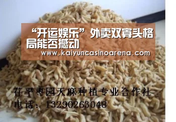 “开运娱乐”外卖双寡头格局能否撼动(图4) 开运娱乐