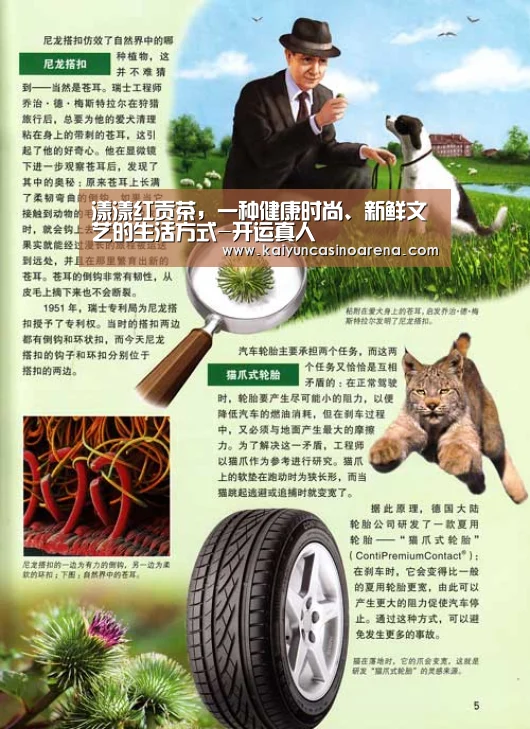 开运娱乐